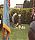 1992 - Paddy Cox lays a wreath on behalf of the Friends of the 489th